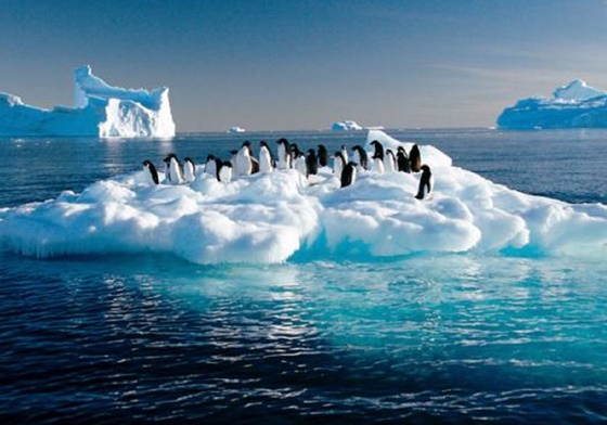 變美同時也能保護大自然？試試有態度的保養品吧！ TheBodyShop、保養、保育、反動物實驗法、茶樹