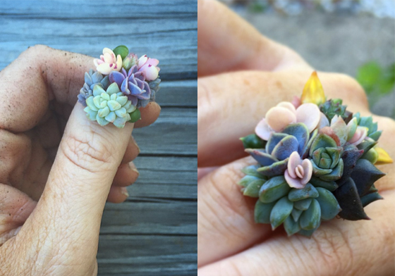 沒看過這麼立體的指彩！多肉植物變身文青風氣質小飾品 多肉植物、飾品、盆栽、療癒、搭配、手作、指彩、裝飾、仙氣、氣質、文青、戒指、手環、頭飾、捧花