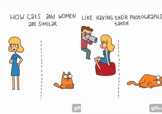 前一秒呼嚕下一秒發火！超Q影片神還原10個女友跟貓咪超相像的特質 貓咪、女友、心情、動物、男女、感情、影片、特質