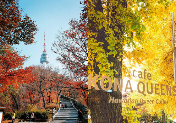 現在動身走起吧！首爾賞楓與賞銀杏的4個好去處 韓國、首爾、賞楓、賞銀杏、德壽宮石牆路