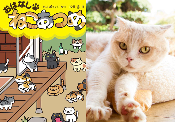 貓奴淪陷預感！超人氣療癒App《貓咪收集》也要電影真人化？ 貓咪收集、ねこあつめの家、貓奴、App、遊戲