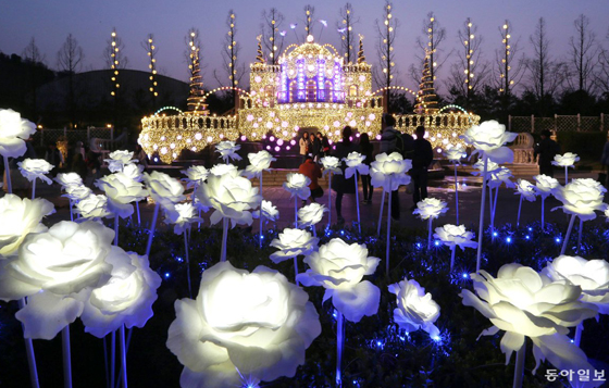 聖誕節前快點把握時機衝一發！東大門LED玫瑰花海確定延長啦 DDP、東大門、LED、玫瑰花海、愛寶樂園