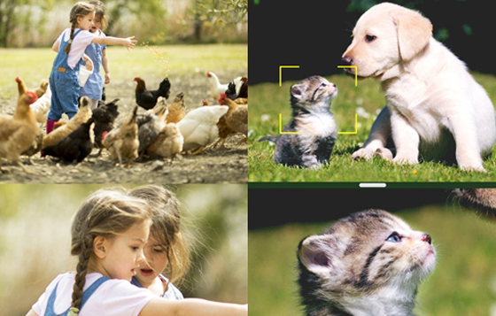 11/18限時免費App特輯：一鍵輕鬆拍出雙鏡照！ 限免、免費、特價、iPhone、App