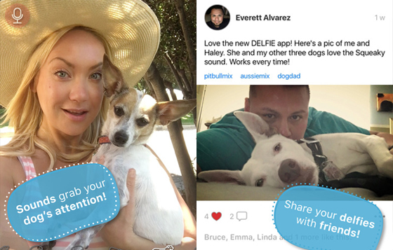 11/22限時免費App特輯：跟狗狗自拍一鍵get！ 限免、免費、特價、iPhone、App