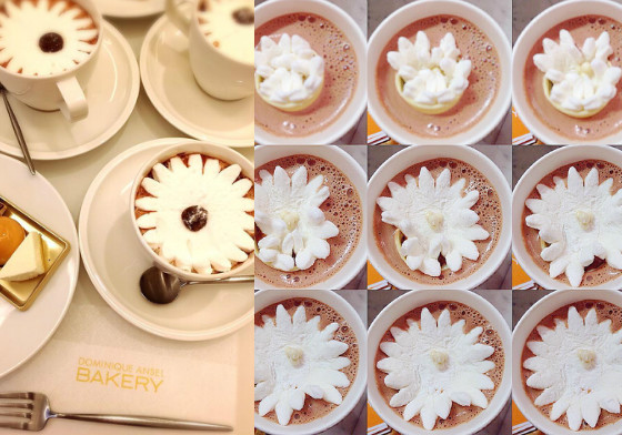 我的熱可可裡有朵花盛開！療癒度滿點的「棉花糖小花」甜入你心頭 Dominique Ansel Bakery、Dominique Ansel、棉花糖、花朵、盛開