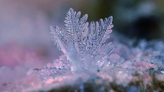 越看越冷！微距雪花攝影 微距、攝影、雪花、Andrey Osokin、藝術