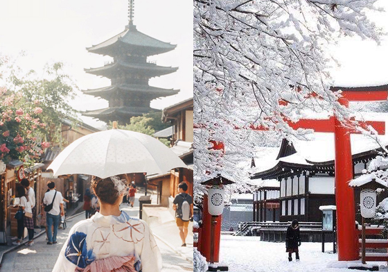 「手水」和「拜禮」的順序你都懂嗎？一起學習參拜日本神社的4大步驟 愛玩妞、日本、神社、參拜、注意、禁忌、鳥居、參道、手水、御守、圖解日本神社入門