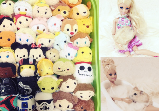 鼠界新之助駕到！最愛跟「芭比子姊姊」兜風的社交王鼠鼠 ray_tico、可愛、日本、鼠、萌、新之助