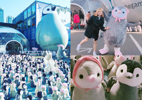 逼逼〜1000隻企鵝集合囉！好萌好好拍的建大貨櫃屋快閃特展 愛玩妞、韓國、首爾、建國大學、建大、藍色貨櫃屋、CommonGround、커먼그라운드、企鵝、可愛、活動