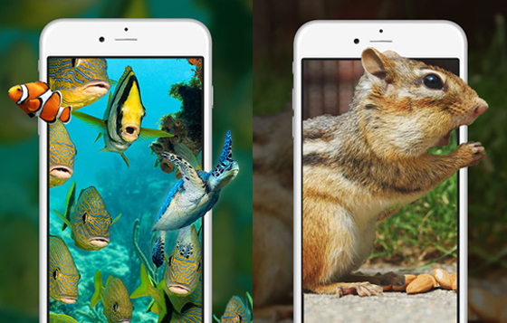 12/01限時免費App特輯：小松鼠萌出你的螢幕啦！ App、限時、免費、iPhone、手機