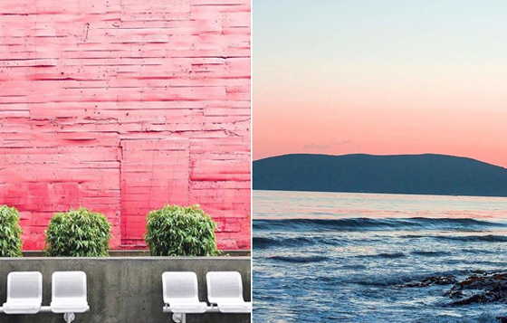 色票控絕對會喜歡的攝影App！《A Color Story》找出最適合你的色調 色票控、攝影、App、A Color Story、色調