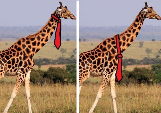 領帶繫上面看起來比較正式？無解的問題「長頸鹿vs.領帶」讓人想破頭啦 無解、無厘頭、惡搞、Jeremy Hammond、Twitter