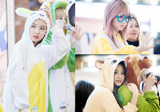 捕捉娜璉兔、MOMO鴨、子瑜飛鼠！歡迎來到TWICE的動物王國〜 TWICE、動物裝、TT、MAMA、飯拍