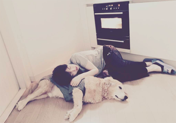 成功搶到票也不一定見得到偶像？！讓粉絲哭哭的3場韓星Fan Meeting April、 Ajax、Sistar、安宰賢、見面會