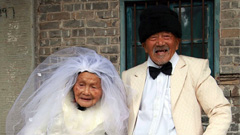 [妞隨選]2012年度感人照片 每張背後都有不為人知的故事 攝影、感人、2012、年度、貓咪、狗狗、藝術