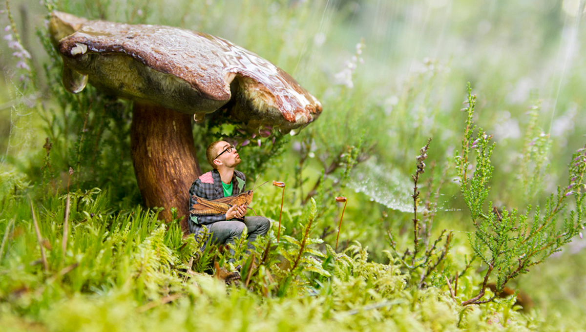 香菇永遠是小矮人的雨傘！毫米人的冒險旅程 小矮人、縮小、科幻、想像力、攝影