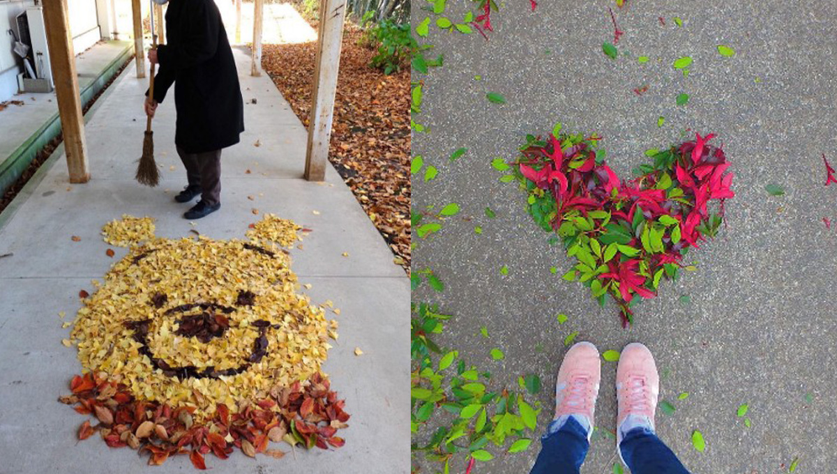 用不同顏色的落葉也能拼出小熊維尼？日本藝術家們超有創意的落葉畫 toshikanayama、setsugetsufu_ka、miccyoriiina、egaonanairo、hamacream、ryokko128、ml9n、toshikanayama、落葉、楓葉、日本、創意、藝術