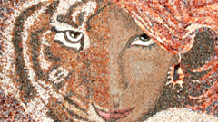 海洋的慴慴光輝 烏克蘭貝殼拼貼藝術家Svetlana Ivanchenko 藝術、馬賽克、拼貼、 鑲嵌畫、烏克蘭、 Svetlana Ivanchenko、藝術