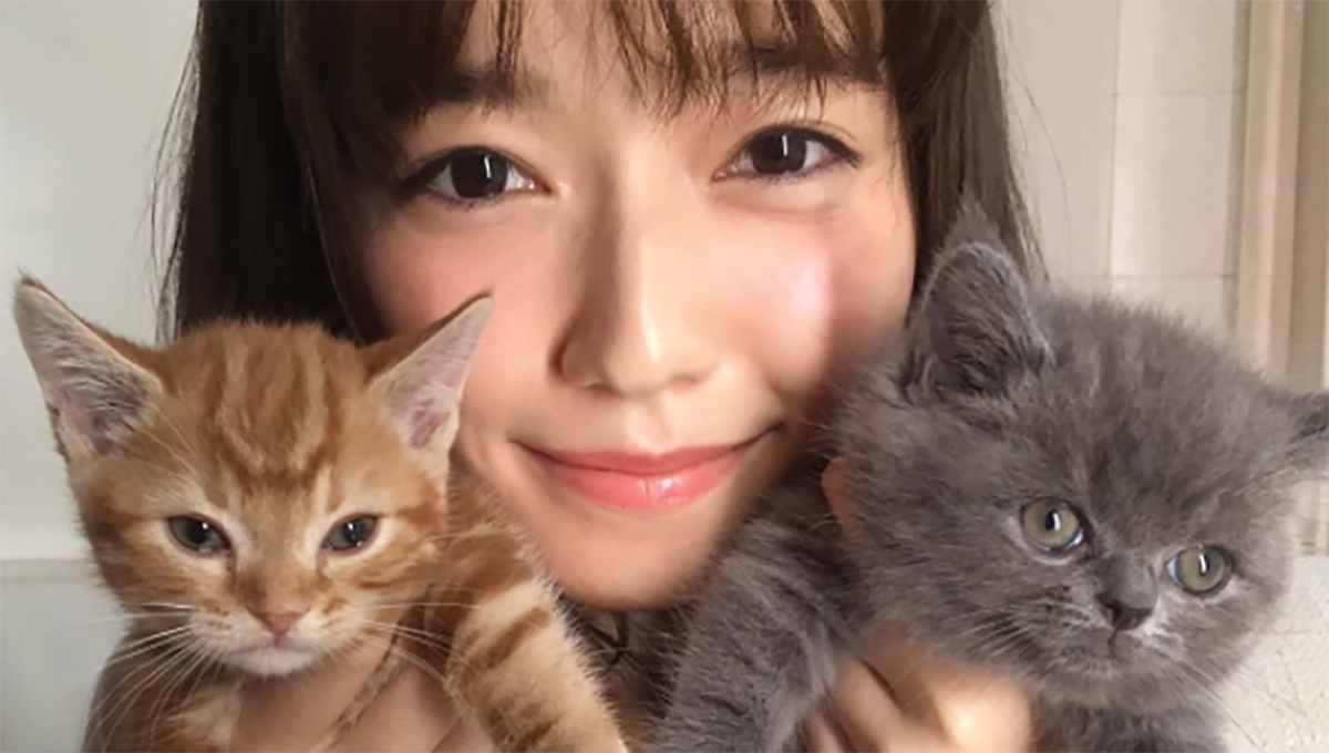 妞書僮：不要讓自己有遺憾！《高齡貓照護解剖圖鑑》新書轉載2-2 高齡貓照護解剖圖鑑、貓咪、毛小孩、照顧、高齡