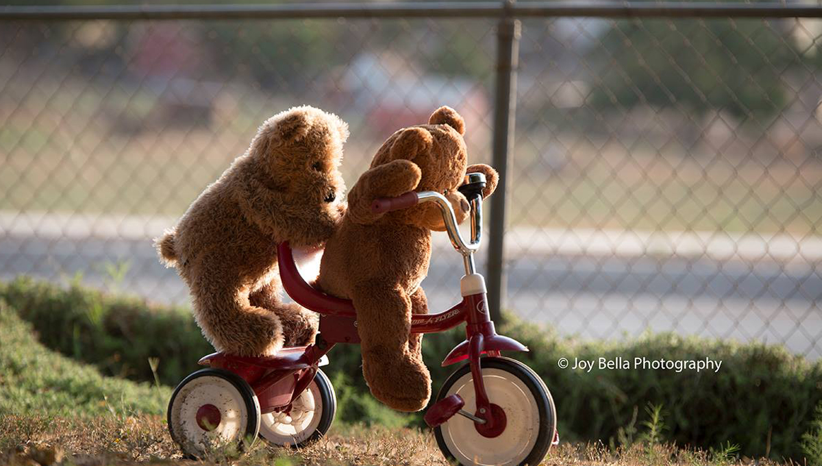 《熊麻吉》的劇情真實上演！奶奶拍攝泰迪熊的原因超催淚 泰迪熊、Teddy B、Roger、Joy Bobrink、奶奶