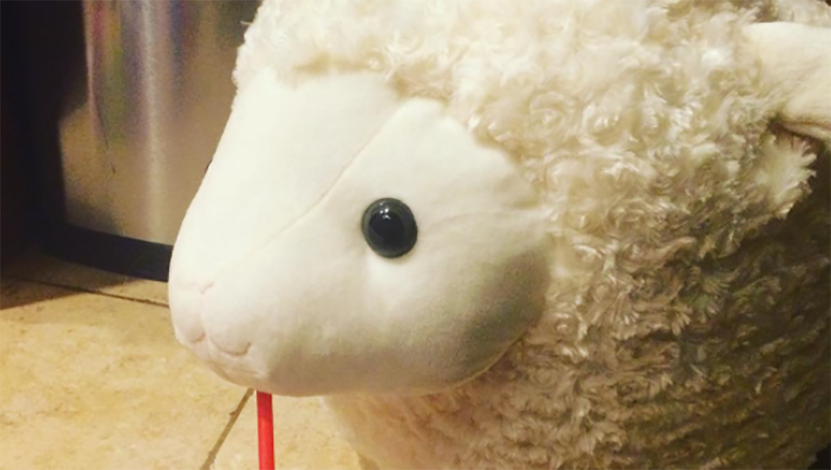 妞書僮：跟著羊咩咩弄懂錢湯門道《羊咩咩的京都錢湯圖鑑》新書轉載2-1 日本、京都、錢湯、溫泉、旅遊