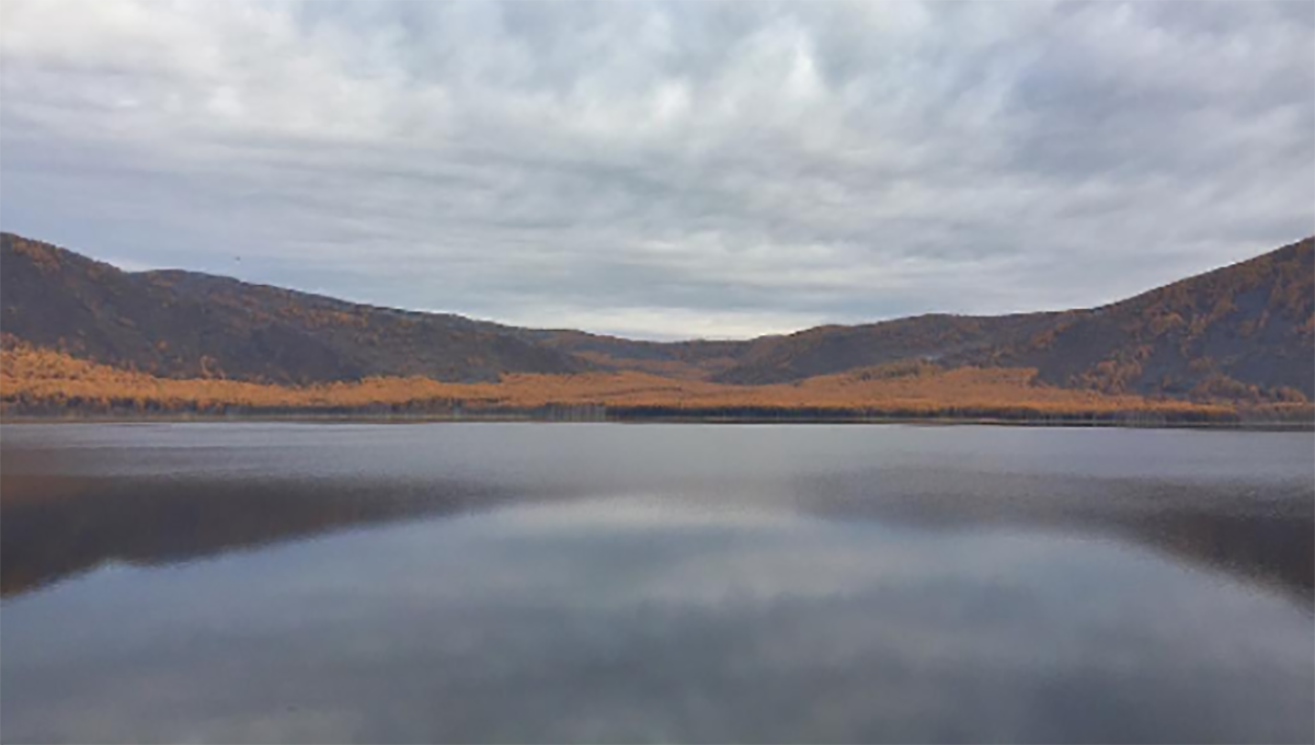 妞書僮：窺探被糖衣包裹的社會祕密？！《藥‧命》新書轉載2-1 藥命、馬航、祕密、利益、盧建章