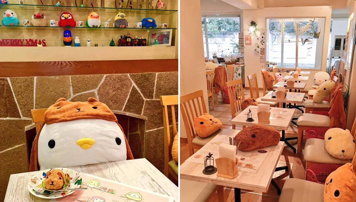 想跟牠一起泡在白醬裡～水豚君×小鳥咖啡廳限時開張！ ことりカフェ、カピバラさん、水豚君、小鳥咖啡廳、日本