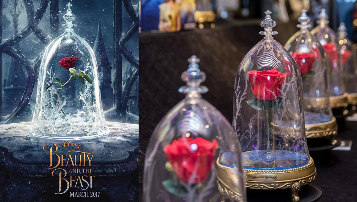 今年情人節最浪漫的禮物！超夢幻《美女與野獸》魔法玫瑰藍芽喇叭 Camino、美女與野獸、情人節禮物、魔法玫瑰、藍芽喇叭