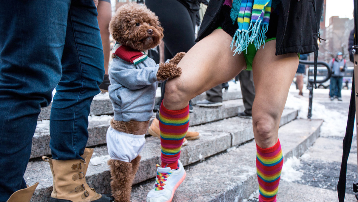 雖然是暖冬也沒熱到這樣吧？2017年「世界無褲日」讓大家都HOT起來了 世界無褲日、Improv Everywhere、冬天、幽默、樂趣