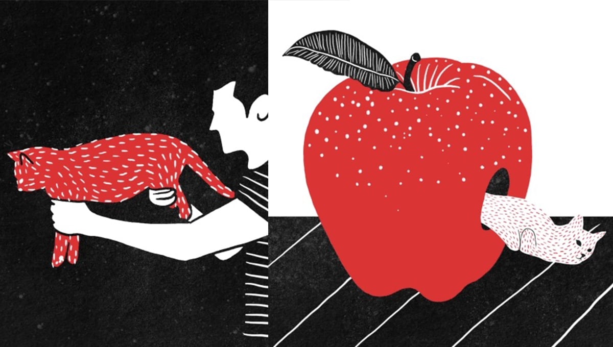 一隻貓的正確打開方式是？腦洞大開的貓奴異想世界 貓、喵星人、貓奴、插畫、動圖、Min Liu、藝術