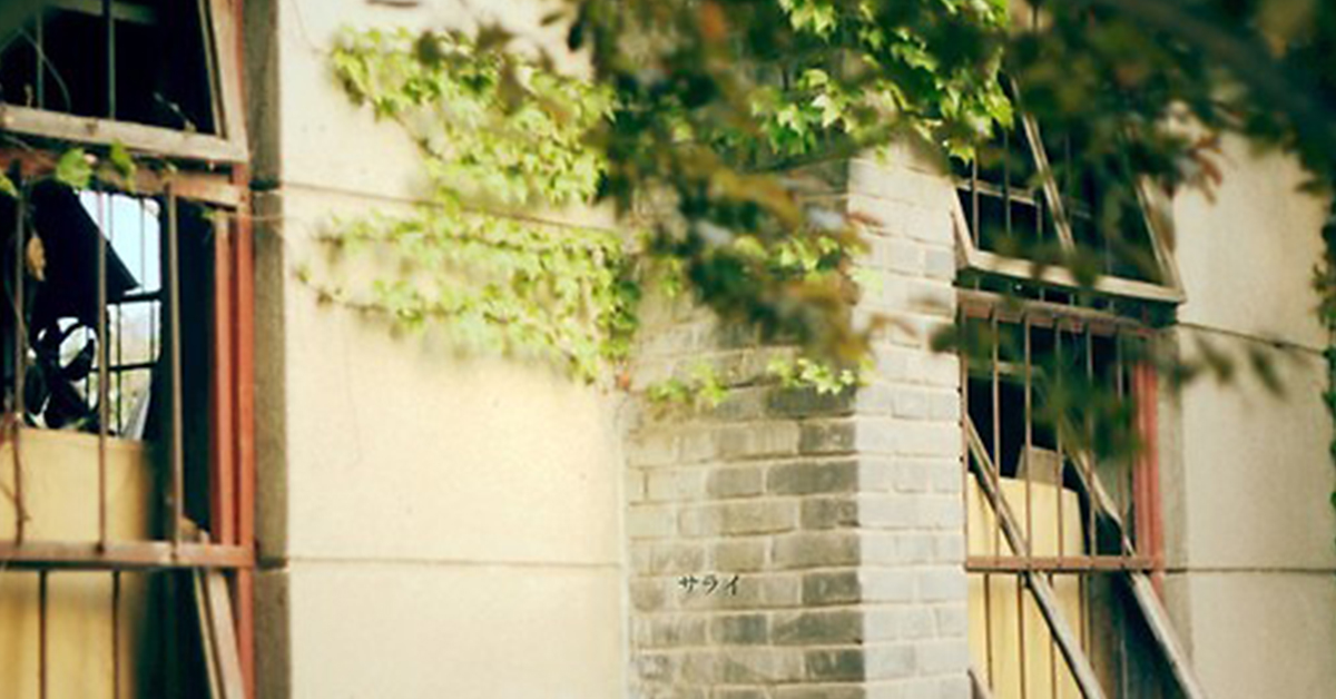 回不去的舊時光 一段對老房子的割捨不斷的情誼 懷舊、老房子、回憶、時光、過去