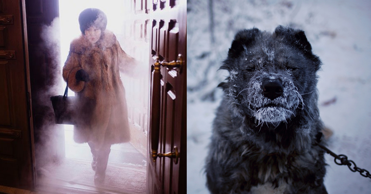 出門就像進到冷凍庫！攝影師帶你一窺地表最冷村莊Oymyakon 寒冷、冷、俄羅斯、Oymyakon、哈薩克