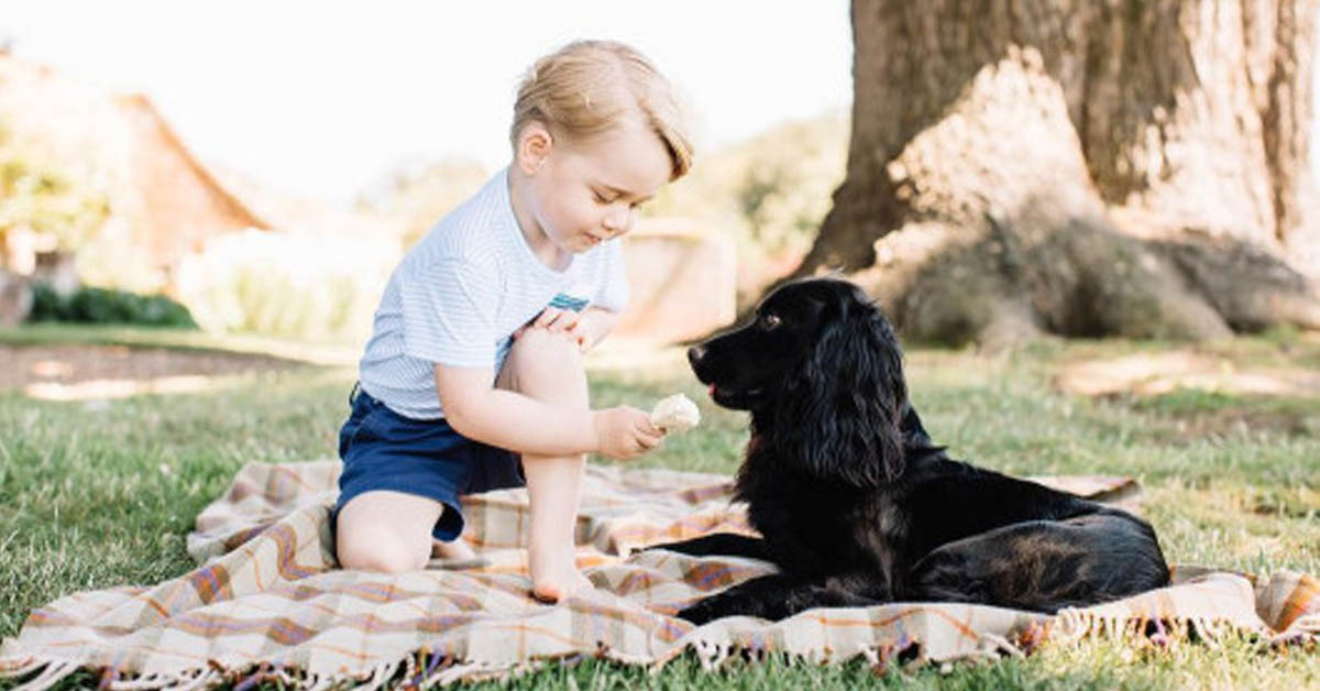 伊莉莎白女王一年要出席200場會議？英國皇室成員的每日行程也太精采 英國皇室、伊莉莎白二世、英國女王、皇室成員、英國、威廉王子、凱特王妃、慈善、喬治王子、夏洛特公主、哈利王子