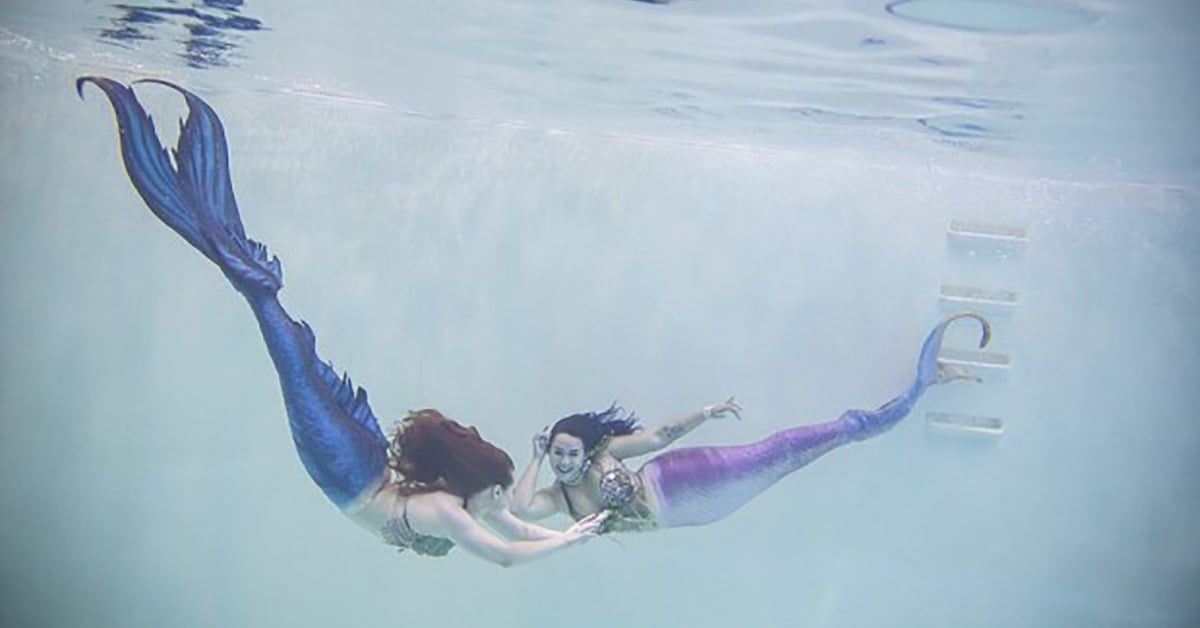 「魚尾巴才是我身體的一部分！」隱身於美國西雅圖的美人魚秘密社區 美人魚、美國、西雅圖、童話、小美人魚