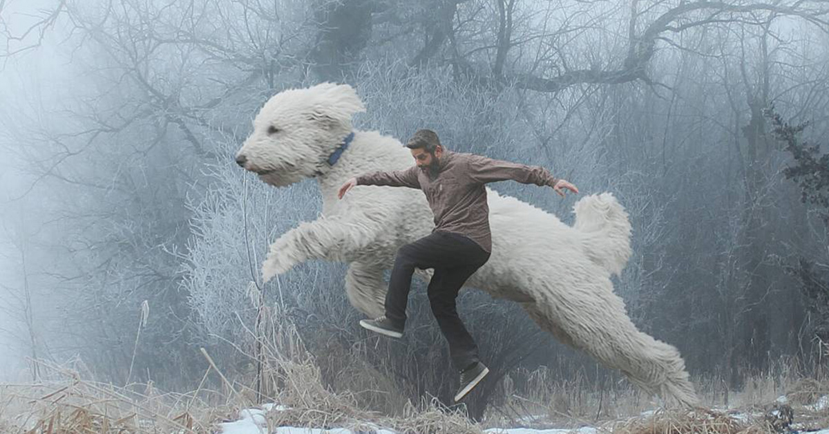 當狗奴的手上有了放大燈…… 大狗與人類的奇幻冒險上路囉！ 貴賓犬、狗、毛小孩、PS、修圖