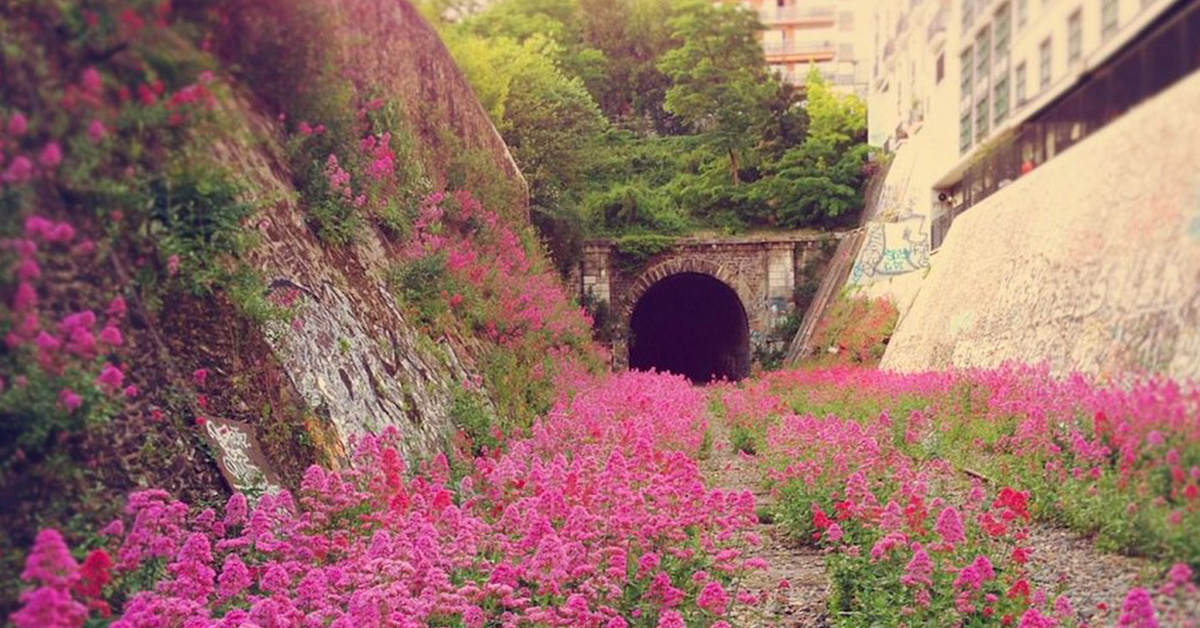 沒有人類的世界長這樣？地球這些角落飄出濃濃「末日」感 廢墟、人類、環境、末日、攝影