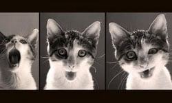 這種裝扮大NG！在異性眼中不OK的裝扮 兩性、裝扮、私話題