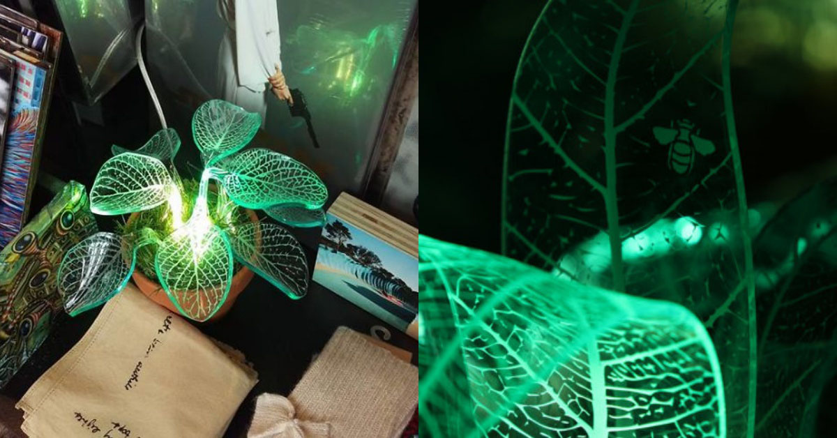 有它就不用小夜燈啦！夢幻度宛如潘朵拉星球的夜光植栽 盆栽、夢幻、夜燈、葉子、透明、發光、LED燈、阿凡達、潘朵拉星球、夜光植栽、夢幻、MardeFe