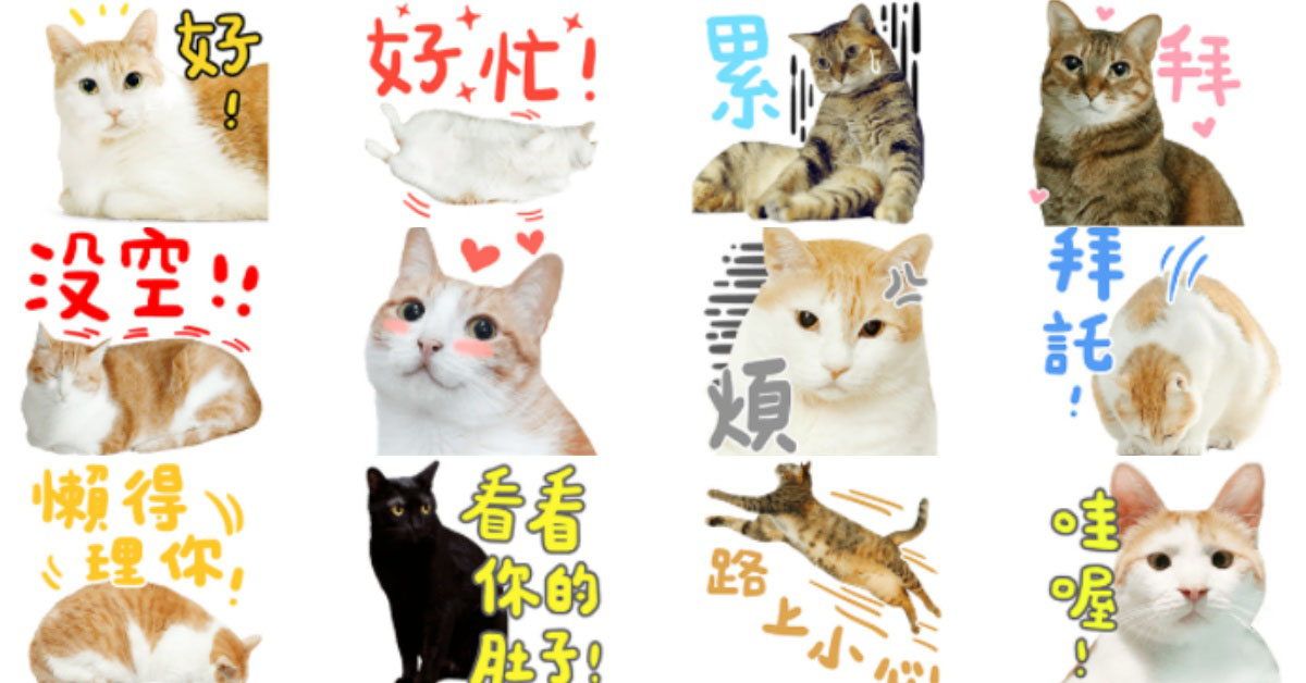 聽不懂喵言喵語別說你夠了解牠！《黃阿瑪和後宮們的日常用語》你參透了嗎 LINE、黃阿瑪、後宮、有聲貼圖、日常用語