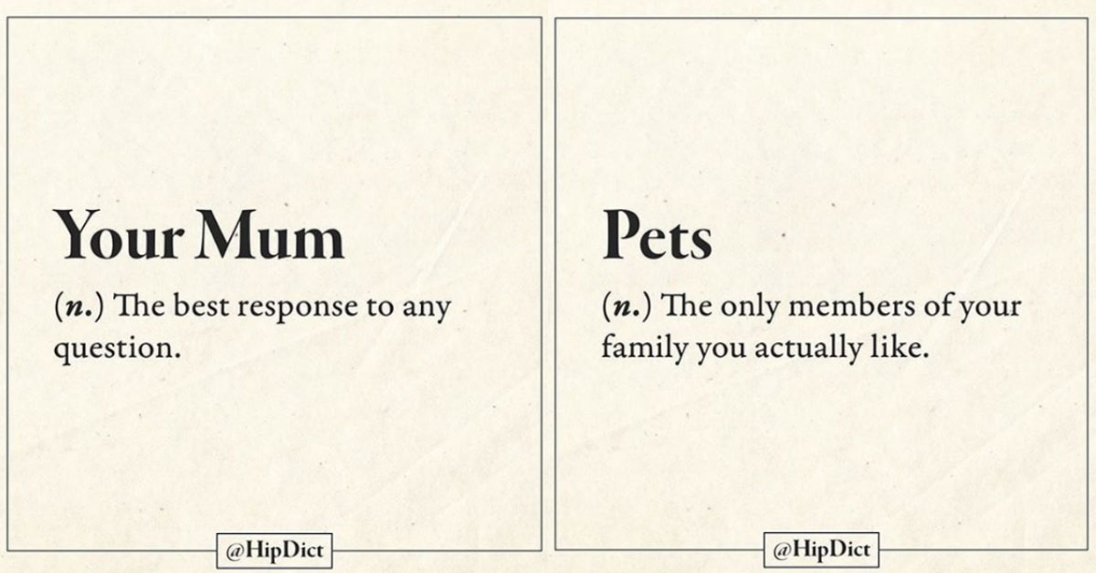孔子星球勿進！吃了誠實豆沙包的超幽默字典新解 幽默、字典、新解、誠實豆沙包、孔子星球