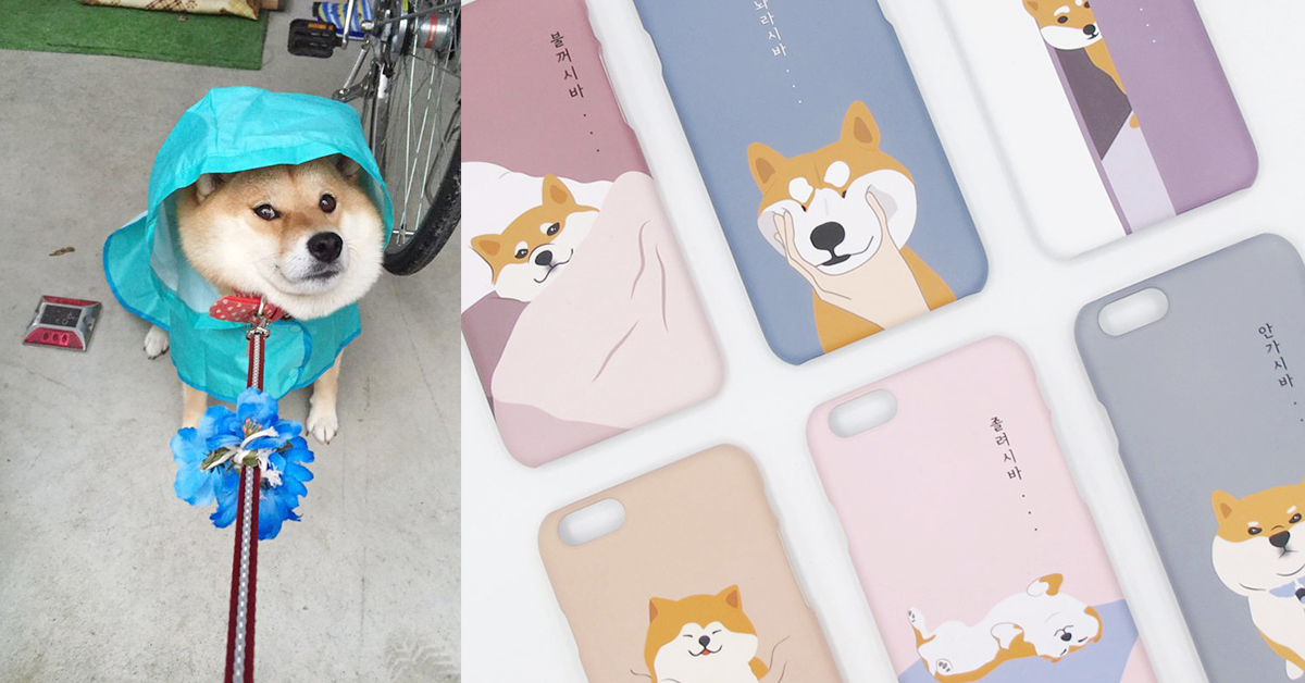 「抵死不從」經典版再度重現！激萌柴柴全面霸佔你的手機殼 柴犬、柴柴、手機殼、10X10、可愛