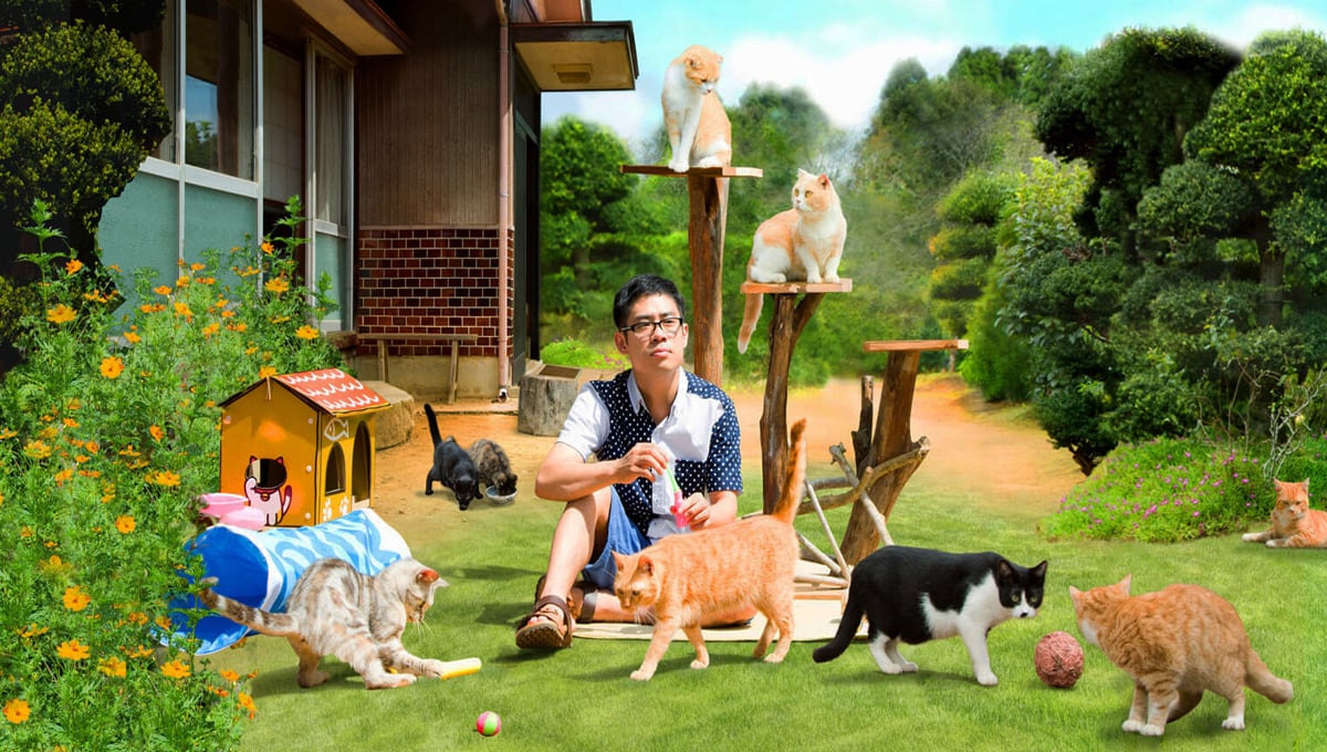 懶散貓奴必看電影！《貓咪收集》真人版即將上映 貓咪收集、貓奴、庭院、手機遊戲、電影、日本、伊藤淳史、電車男、小說家