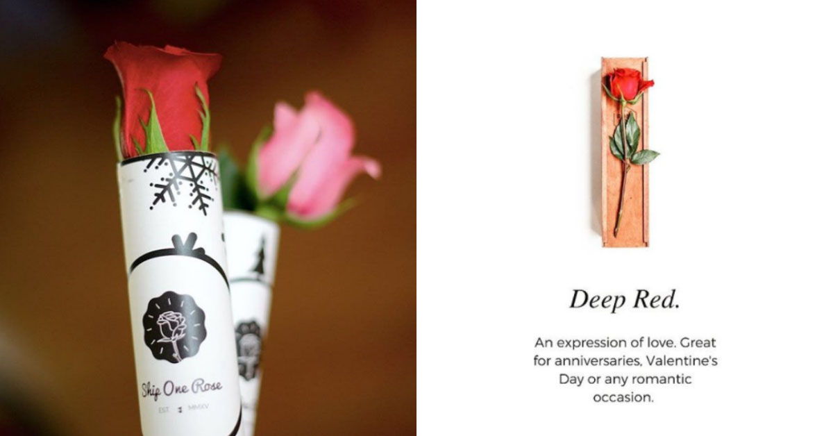 一朵癡情玫瑰花完勝！木盒訂製玫瑰將專屬於你的浪漫送到家 玫瑰、一朵、情意、浪漫、美國