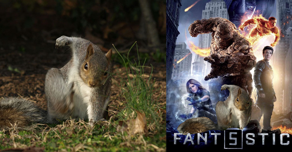 松鼠也能成為超級英雄！超煞氣a落地法讓網友們展開P圖大亂鬥 惡搞、P圖、松鼠、英雄式落地、超級英雄、死侍、蜘蛛人、鋼鐵人、 super hero landing、搞笑