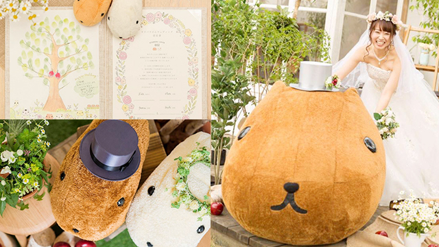 這摸可愛的婚禮我也要啦！超童趣「水豚君夢幻婚禮」招募中 水豚君、婚禮、日本、可愛、童話
