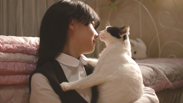 走兩步就跌倒也不放棄...韓國腦麻小貓「未來」的強大生命力讓你重拾勇氣 書合作、小貓、韓國、感人、未來