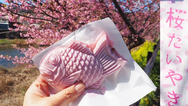 想吃看看粉色鯛魚燒嗎？日本「河津櫻花祭」大人氣夢幻美食推推 愛玩妞、日本、河津櫻花祭、河津桜祭り、美食、櫻花、春天、鯛魚燒、桜たい焼き、霜淇淋、年糕、夢幻、可愛