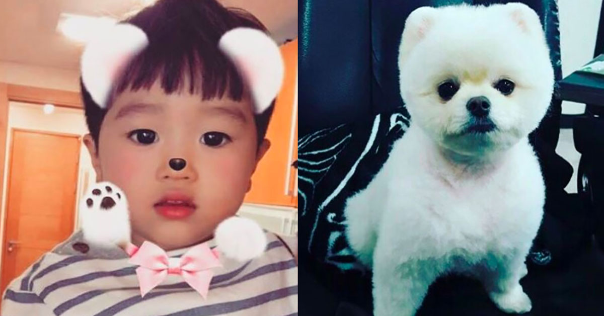 狗餅乾比糖果更好吃？！《我的超人爸爸》昇材為了狗糧願意當「汪汪」 我的超人爸爸、水晶男孩、高志溶、狗狗、昇材