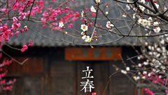 中國古典藝術風 24節氣攝影 新年、青簡Jane、24節氣、攝影、藝術