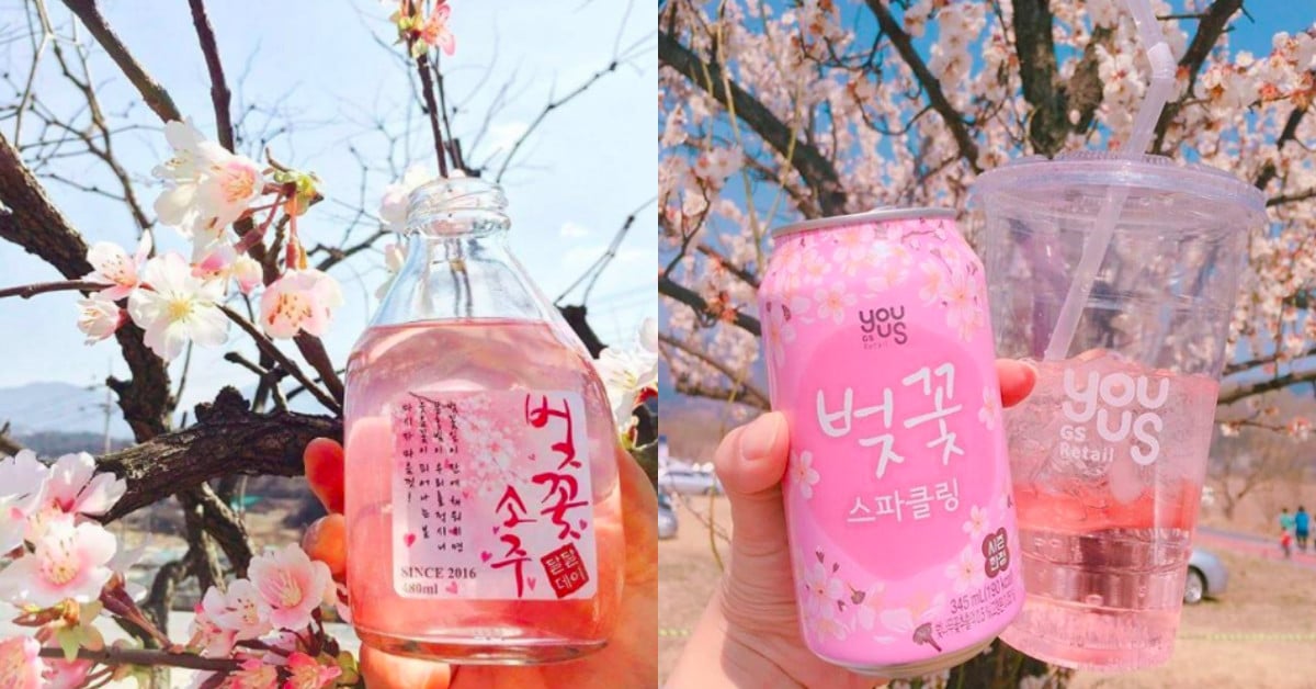 賞夜櫻就要來罐櫻花燒酒！韓國5種櫻花飲品讓賞花更有氣氛了 賞櫻、韓國、櫻花、夜櫻、白櫻